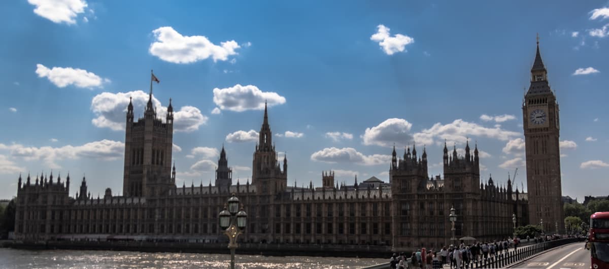 Public sector